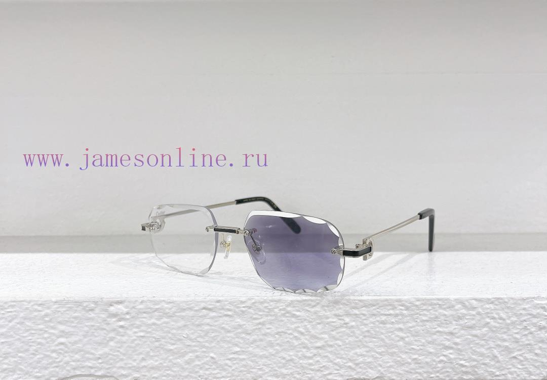 Cartier MODELCT0461SSIZE 55 Port 17-140 Color Changetj272moj - Image 5