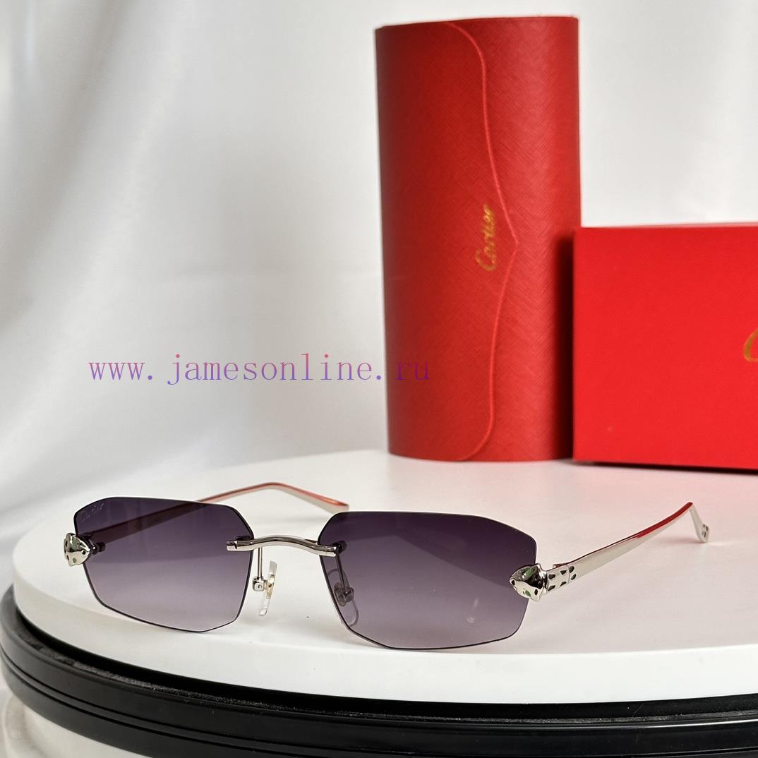Cartier MODELCT0474SSIZE56 ports 18-140rw387xdj - Image 5