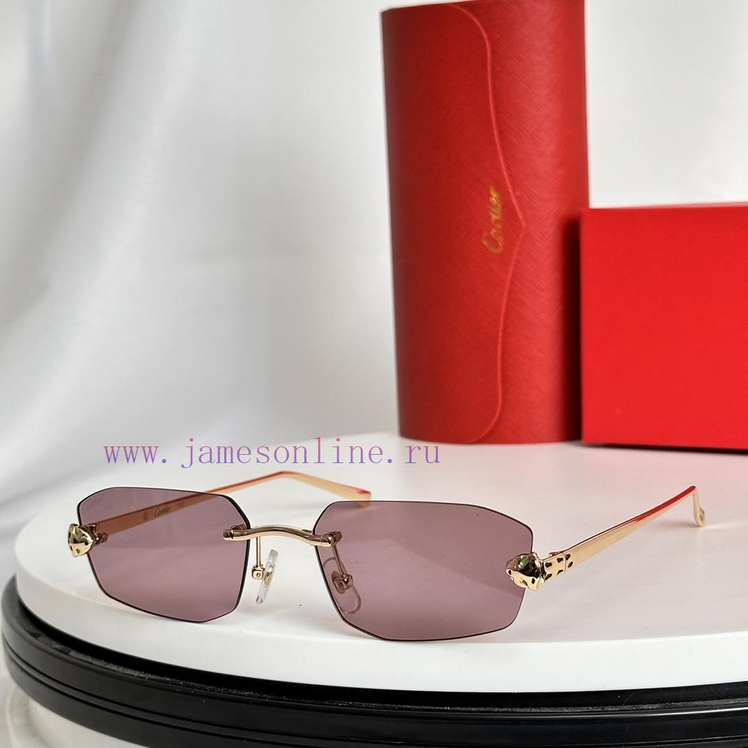Cartier MODELCT0474SSIZE56 ports 18-140rw387xdj - Image 8