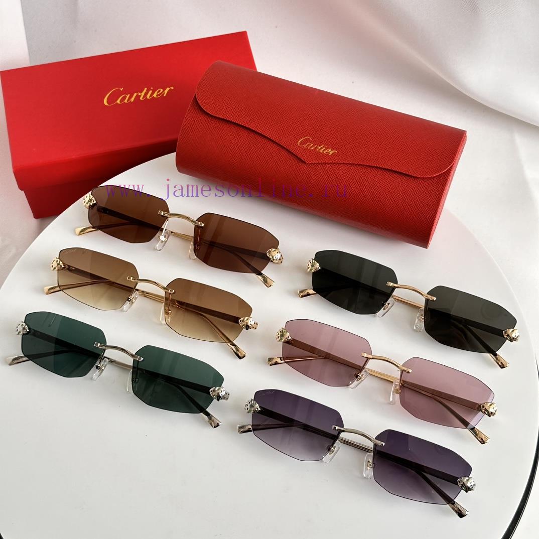 Cartier MODELCT0474SSIZE56 ports 18-140rw387xdj - Image 10