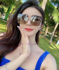 Louis Vuitton LV Women's Sunglasses with HD Nylon Lens, Classic Clover Elements, Retro Stylenvywlkio