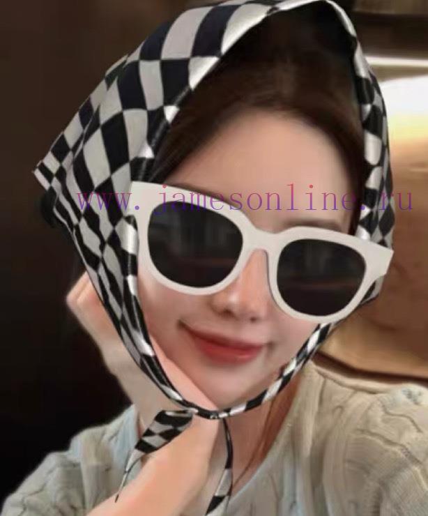 CELIN high-quality sunglasses, MODELCL40198F, SIZE56 mouth 21-1459k26smbp - Image 7