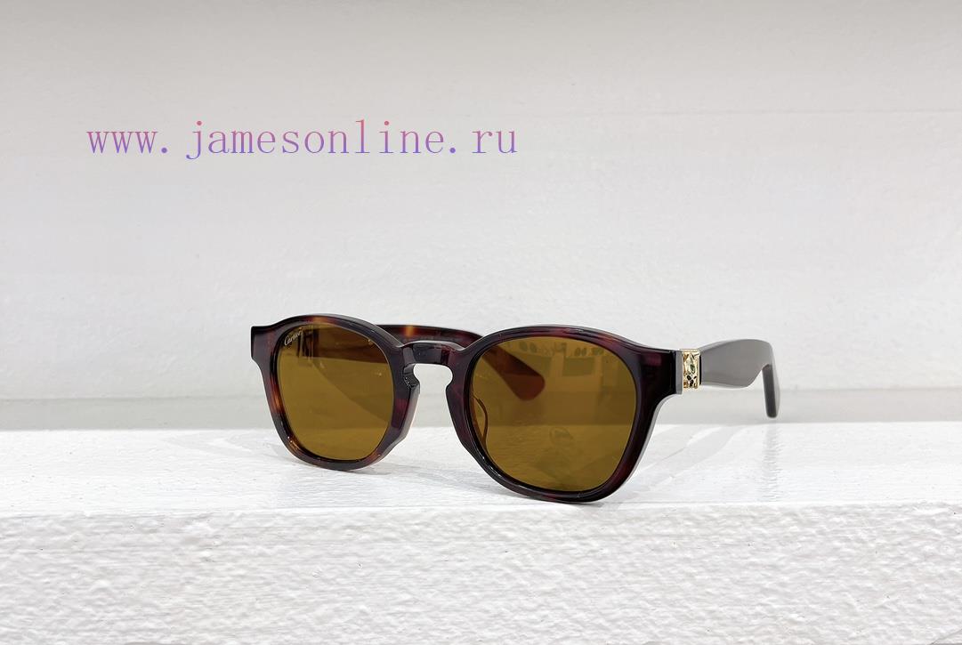 Cartier MODELCT0507SSIZE52 port 25-145jr7129eb - Image 3