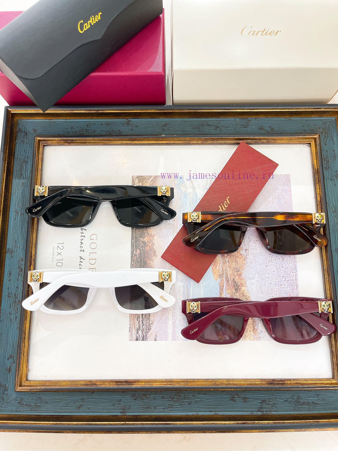 Cartier MODELCT0508SSIZE52 port 23-145exatr046 - Image 9