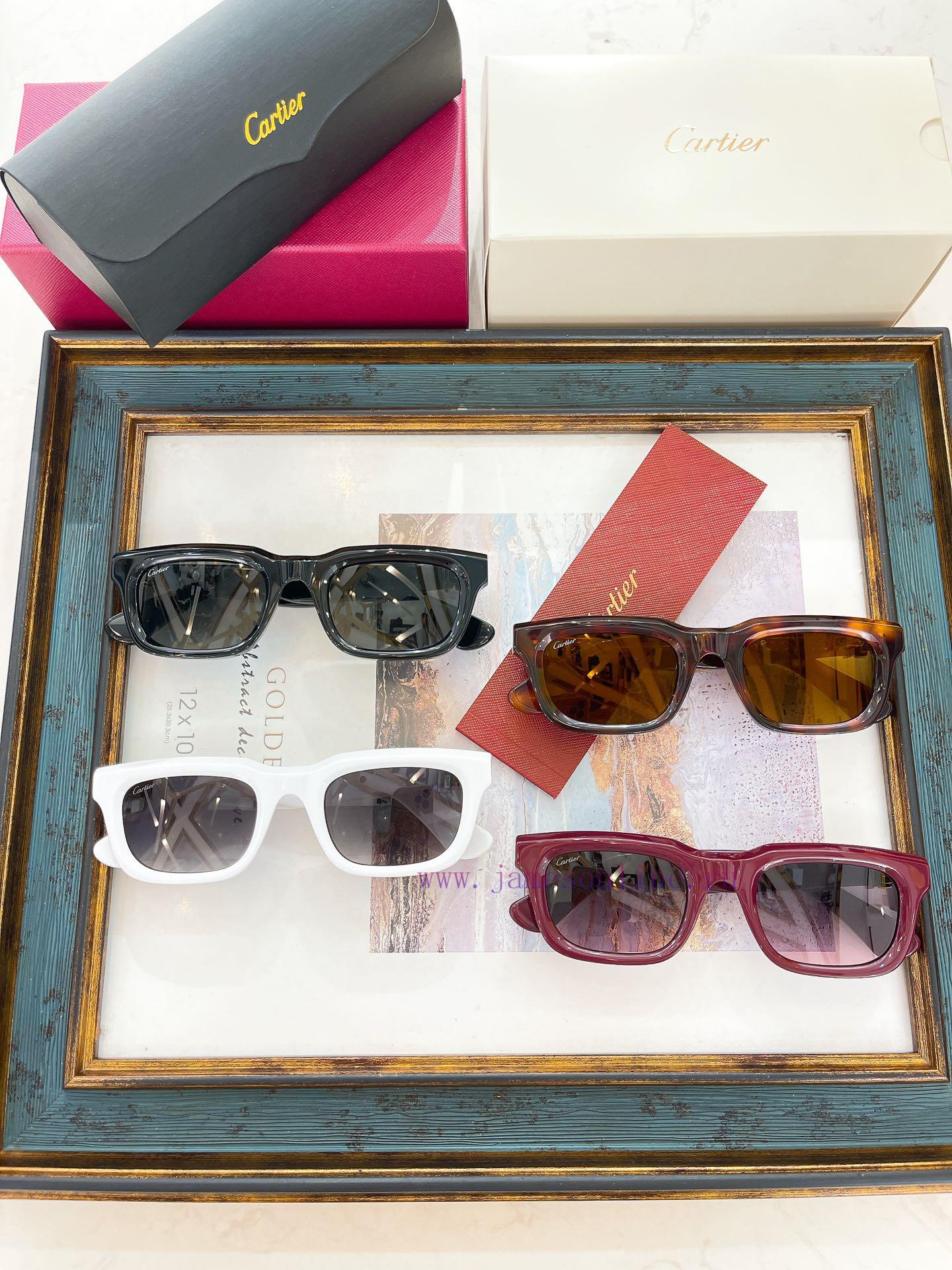 Cartier MODELCT0508SSIZE52 port 23-145exatr046 - Image 10