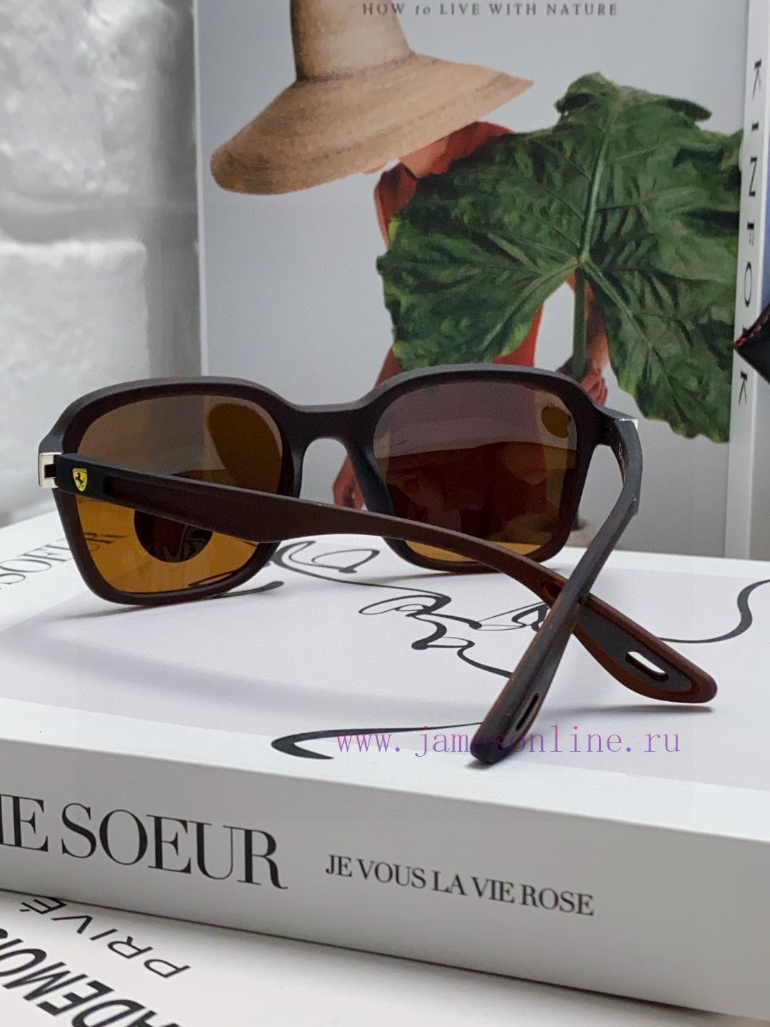 RayBan Ferrari Joint Sunglasses, Unisex Polarized Sunglasses, Personalized, Fashionable, Com9nlhd6zg - Image 4