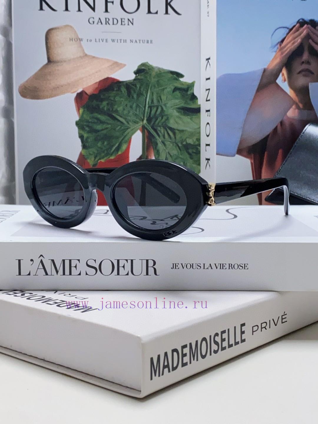YSL Saint Laurent 2024 new popular item Naza, the same oval shaped item, various internet cehn86vlpx - Image 4