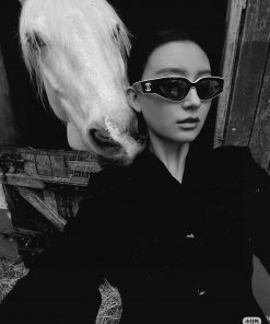 Chanel 2024 new sunglasses cat eye sunglasses narrow frame women's Korean version 24SS frame6hpz17ll