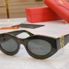 Cartier Cartier new sunglasses, MODELCT0313, SIZE53 mouth 21-143dgj1r3xi
