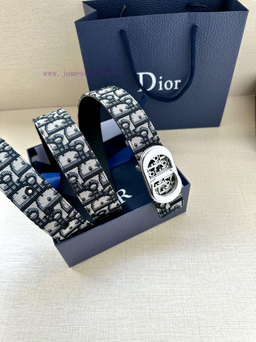 This metal clad brass waistband buckle from Dior is a new addition to the Spring and Autumn cc7iym6s - Image 5