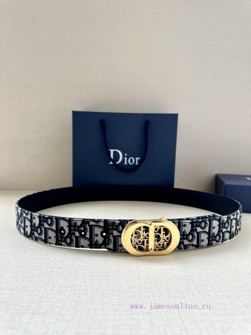 This metal clad brass waistband buckle from Dior is a new addition to the Spring and Autumn oommlt34