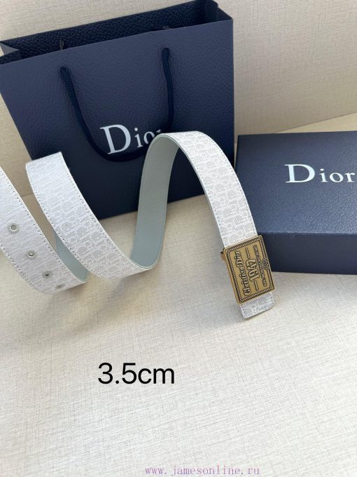 This 3.5cm wide waistband buckle is a new item from Dior, continuing the classic design and la84yavc - Image 4