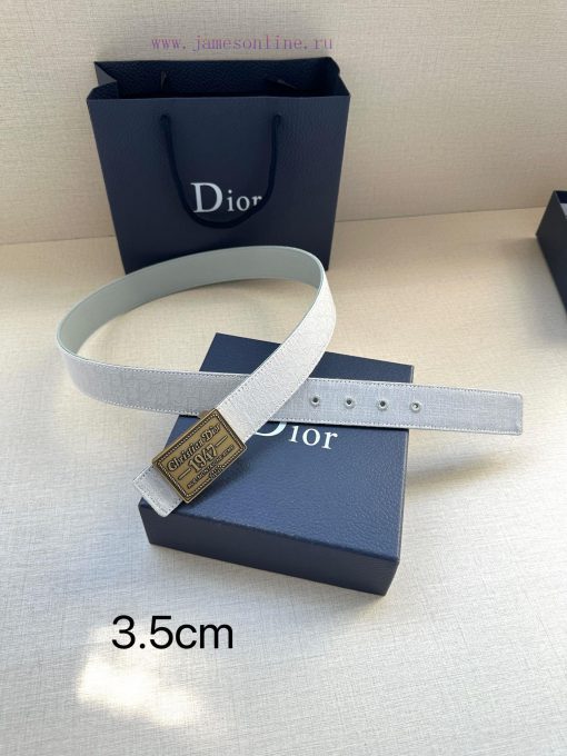 This 3.5cm wide waistband buckle is a new item from Dior, continuing the classic design and la84yavc - Image 5