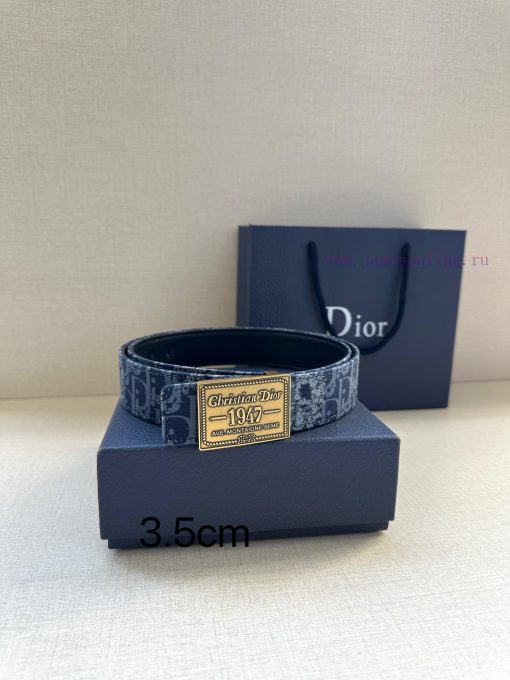 This 3.5cm wide waistband buckle is a new item from Dior, continuing the classic design and m9tnzu34 - Image 6