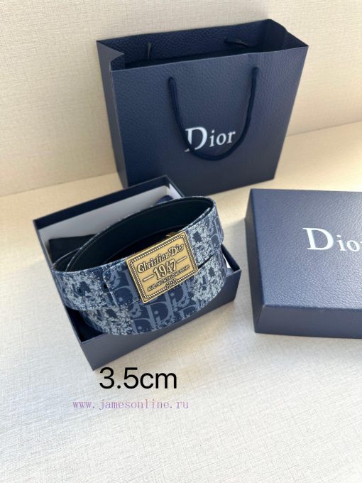 This 3.5cm wide waistband buckle is a new item from Dior, continuing the classic design and m9tnzu34 - Image 8