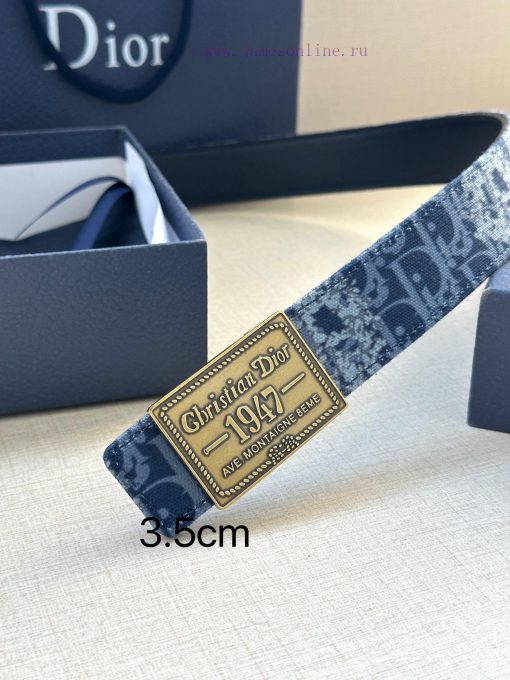 This 3.5cm wide waistband buckle is a new item from Dior, continuing the classic design and m9tnzu34 - Image 10