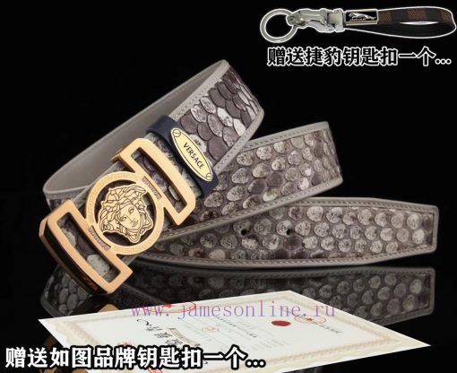 Give a keychain as a giftPromotion price delivery full set of wooden boxesVERSACEBuckle mate j5vijx60 - Image 4