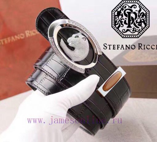 Complete setStephen Diamond Buckle100% dual color pure steel buckle materialThe front materi elu77bfr - Image 3