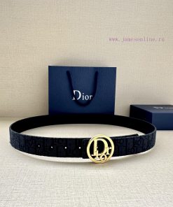 Dior's 3.5cm wide gold trimmed brass waistband buckle is a new addition to the spring collec dzbbzhj6