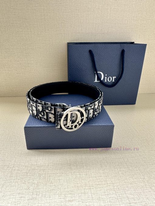 Dior's 3.5cm wide gold trimmed brass waistband buckle is a new addition to the spring collec xa5noblk - Image 6