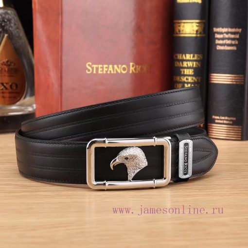 Pay attention to details and beware of being deceivedComplete setSTEFANO RICCIBuckle materia hibqzg72 - Image 7