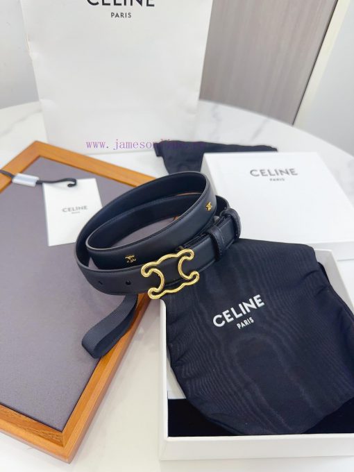Celine has upgraded its materials with genuine IP plated steel buckles measuring 2.5 centime kjma6j7y - Image 2