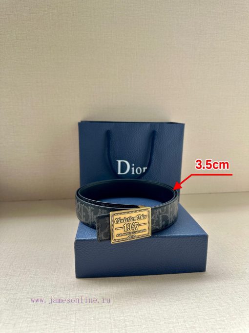 This 3.5cm wide waistband buckle is a new item from Dior, continuing the classic design and q4ib31yd - Image 6
