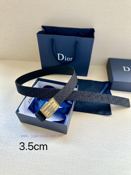 This 3.5cm wide waistband buckle is a new item from Dior, continuing the classic design and ceew2z91 - Image 8