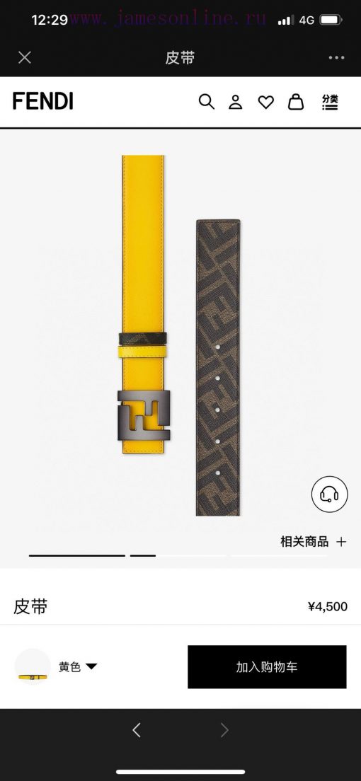 FENDI FendiFull set of the same width 4.0CM double ring front and back waist belt FF nail bu cvaa3tvk - Image 3