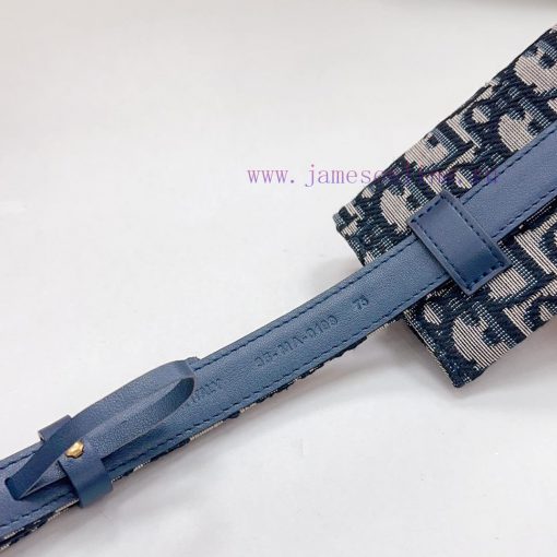 New 2.0cm Dior waist bag official website, double-sided top layer cowhide leather material, 1dfpf901 - Image 10