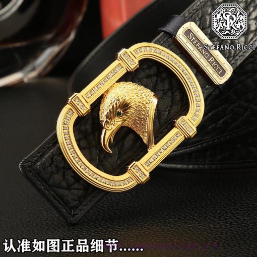 Delivery full set of counter gift boxesSTRFANO RICCIBuckle material: Two tone pure steel dia d3uqw25a - Image 6