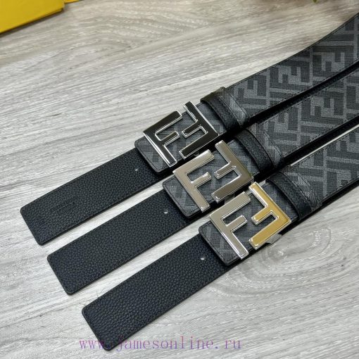 FENDI FendiFull set of the same width 4.0CM double ring front and back waist belt FF nail bu t3m7xcdu - Image 10