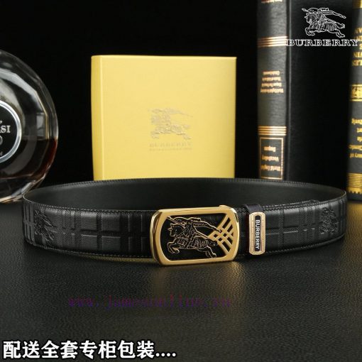 High end quality, physical photographyComplete setBurberryBuckle material: high-quality soli ra7ghffu - Image 5