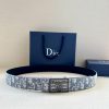 This 3.5cm wide waistband buckle is a new item from Dior, continuing the classic design and g6lz5wll