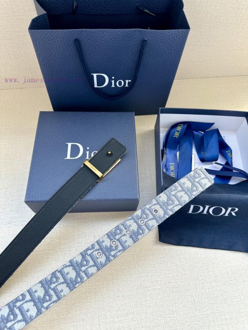 This 3.5cm wide waistband buckle is a new item from Dior, continuing the classic design and g6lz5wll - Image 8