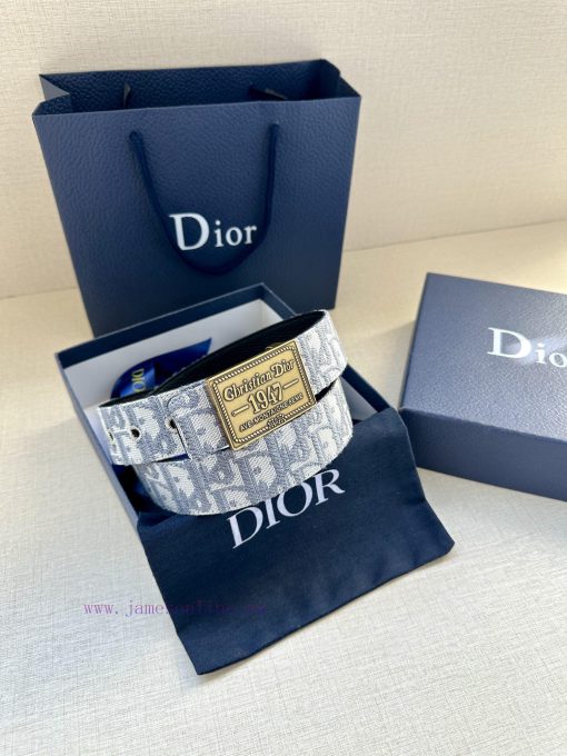 This 3.5cm wide waistband buckle is a new item from Dior, continuing the classic design and g6lz5wll - Image 9