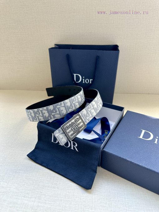 This 3.5cm wide waistband buckle is a new item from Dior, continuing the classic design and g6lz5wll - Image 14
