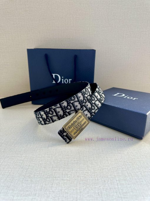 This 3.5cm wide waistband buckle is a new item from Dior, continuing the classic design and mu9vq3h8 - Image 12