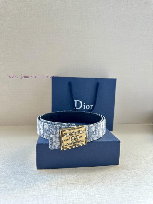 This 3.5cm wide waistband buckle is a new item from Dior, continuing the classic design and g6lz5wll - Image 15