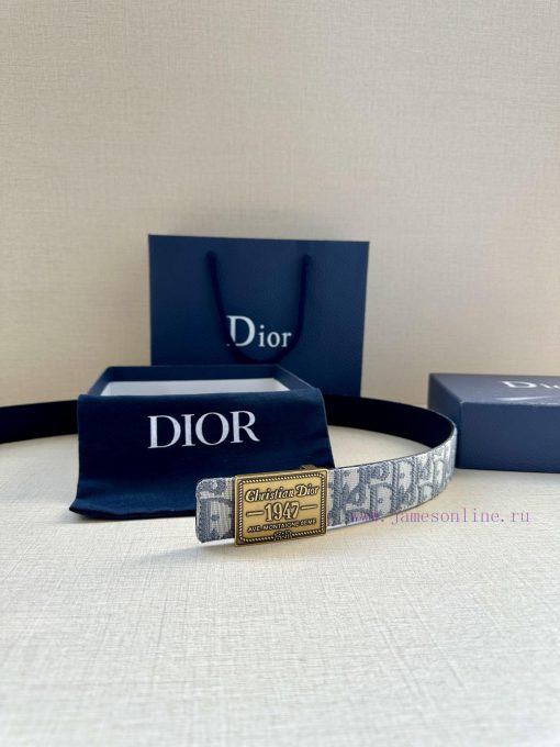 This 3.5cm wide waistband buckle is a new item from Dior, continuing the classic design and g6lz5wll - Image 19