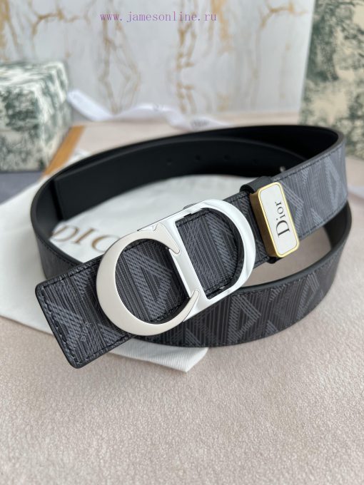 Dior Dior. Belt and beltBuckle, original classic two-color buckle, photographed in real life l4hyvr9h - Image 6