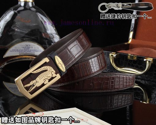 Give a Jaguar keychain as a giftPromotion price delivery wooden boxHong Kong Crocodile Brand v1fz125y - Image 4