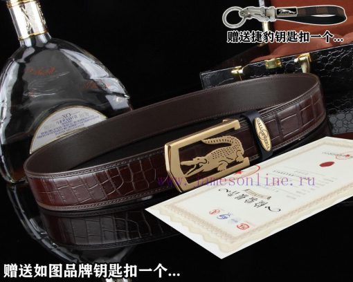 Give a Jaguar keychain as a giftPromotion price delivery wooden boxHong Kong Crocodile Brand v1fz125y - Image 5