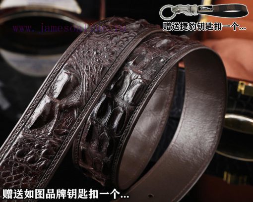 Give a Jaguar keychain as a giftPromotion price delivery wooden boxHong Kong Crocodile Brand e0i9r5br - Image 6