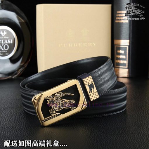 High end quality, physical photographyComplete setBurberryBuckle material: Two tone pure ste tyco3wwn - Image 3