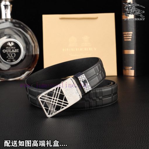 High end quality, physical photographyComplete setBurberryBuckle material: Two tone pure ste 3l5njd7x - Image 3