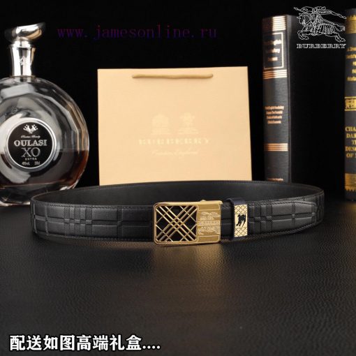 High end quality, physical photographyComplete setBurberryBuckle material: Two tone pure ste 3l5njd7x - Image 5