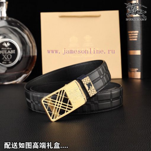 High end quality, physical photographyComplete setBurberryBuckle material: Two tone pure ste 3l5njd7x - Image 7