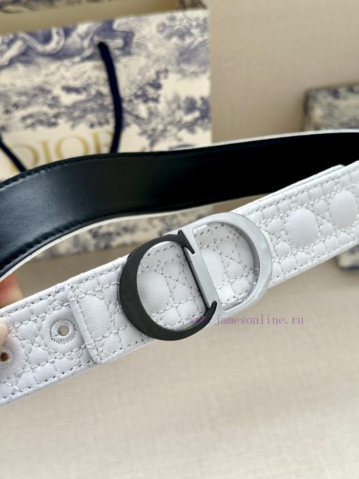 This 3.5cm width Dior waistband cleverly blends elegance and fashion, showcasing Dior's exqu 6m786dxw - Image 3