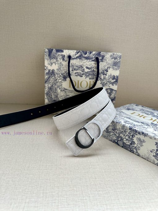 This 3.5cm width Dior waistband cleverly blends elegance and fashion, showcasing Dior's exqu 6m786dxw - Image 7